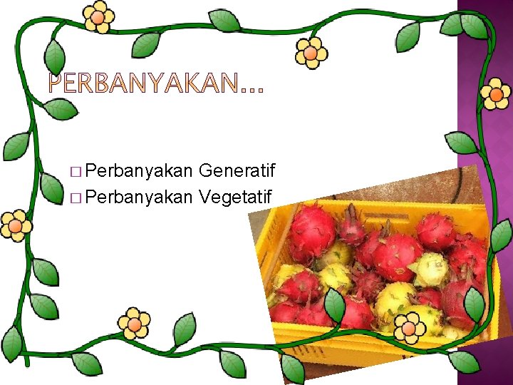 � Perbanyakan Generatif � Perbanyakan Vegetatif 