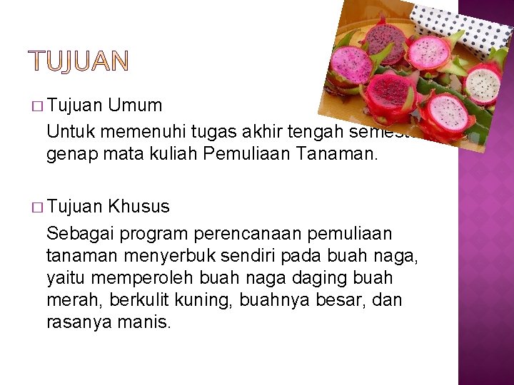 � Tujuan Umum Untuk memenuhi tugas akhir tengah semester genap mata kuliah Pemuliaan Tanaman.