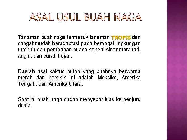 Tanaman buah naga termasuk tanaman dan sangat mudah beradaptasi pada berbagai lingkungan tumbuh dan