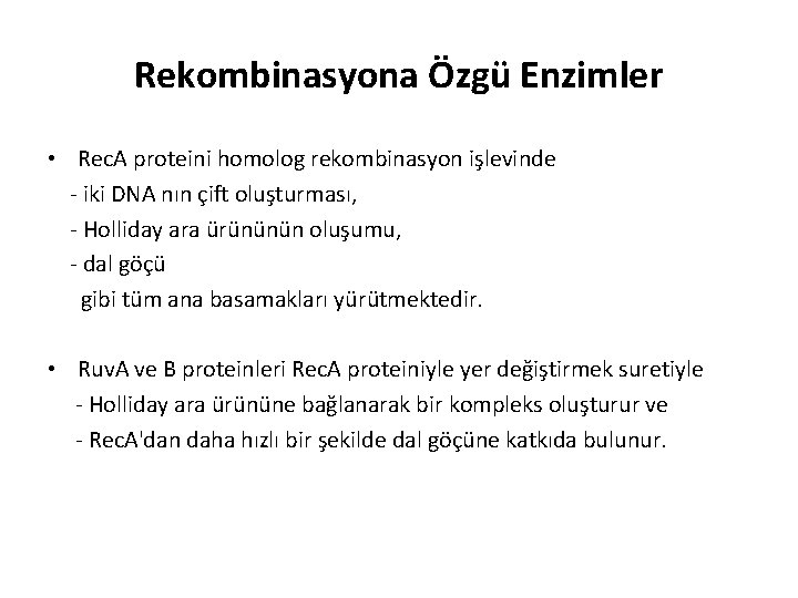 Rekombinasyona Özgü Enzimler • Rec. A proteini homolog rekombinasyon işlevinde - iki DNA nın