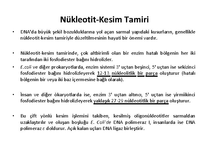 Nükleotit-Kesim Tamiri • DNA'da büyük şekil bozukluklarına yol açan sarmal yapıdaki kusurların, genellikle nükleotit-kesim
