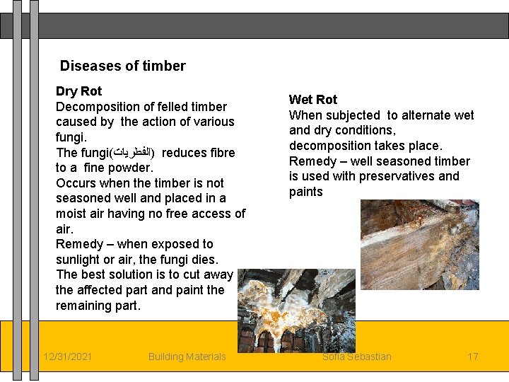 Diseases of timber Dry Rot Decomposition of felled timber caused by the action of