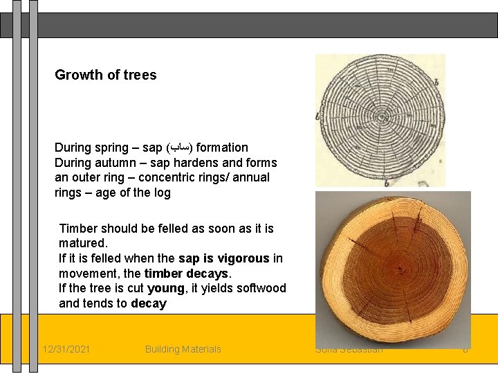 Growth of trees During spring – sap ( )ﺳﺎﺏ formation During autumn – sap