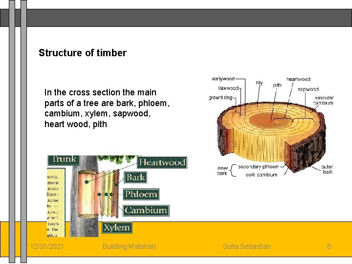 Structure of timber In the cross section the main parts of a tree are