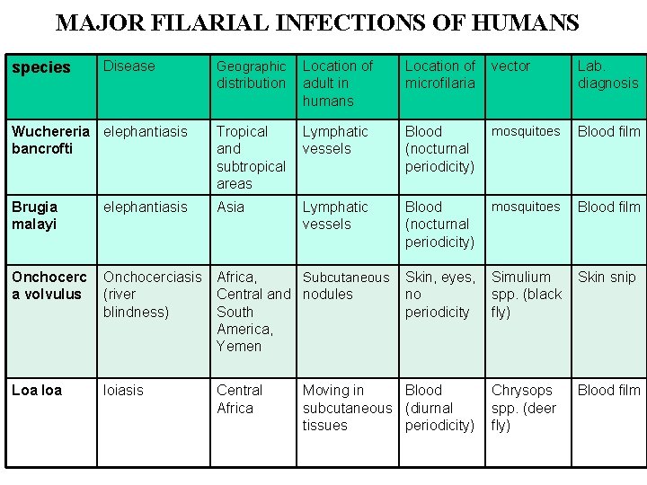 MAJOR FILARIAL INFECTIONS OF HUMANS species Disease Geographic distribution Location of adult in humans