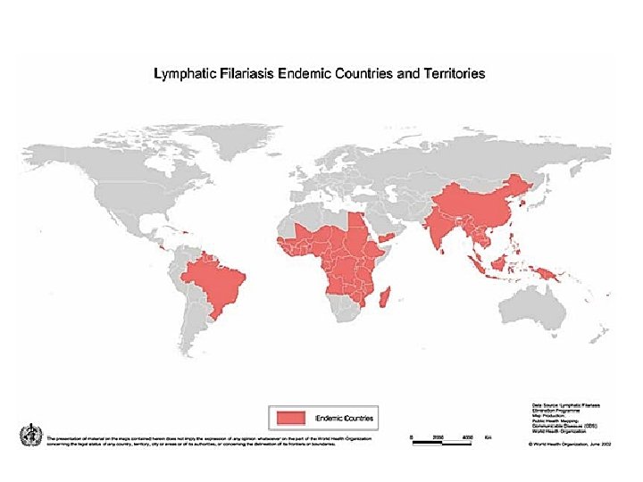 Lymphatic Filariasis 