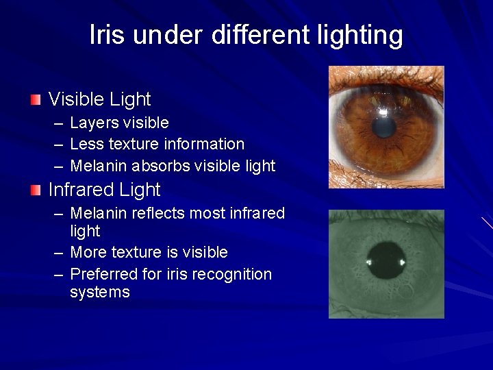 Iris under different lighting Visible Light – Layers visible – Less texture information –