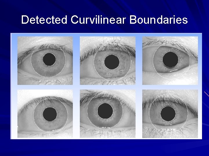 Detected Curvilinear Boundaries 