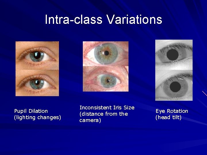Intra-class Variations Pupil Dilation (lighting changes) Inconsistent Iris Size (distance from the camera) Eye