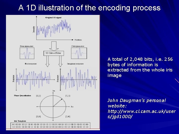 A 1 D illustration of the encoding process A total of 2, 048 bits,