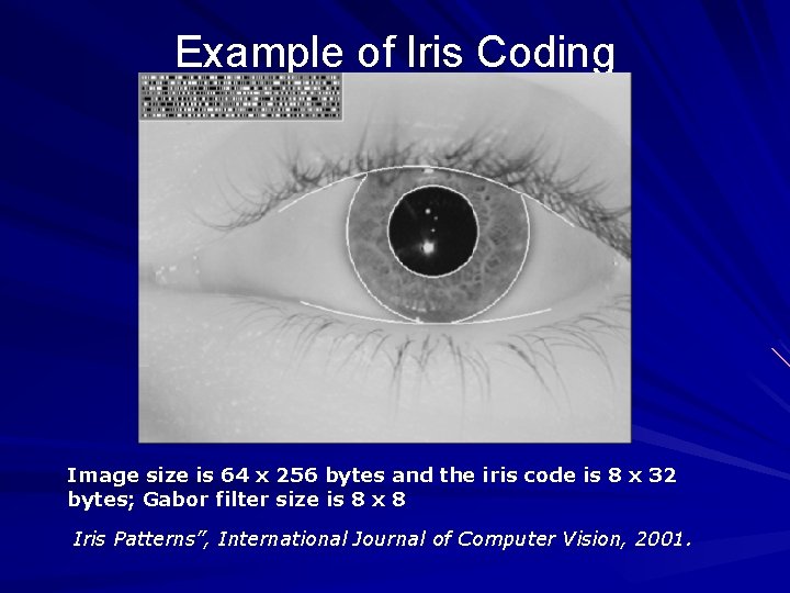 Example of Iris Coding Image size is 64 x 256 bytes and the iris