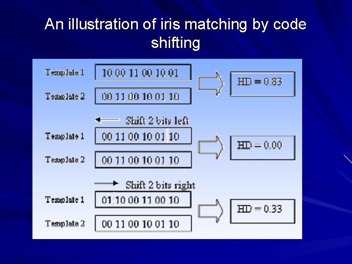 An illustration of iris matching by code shifting 