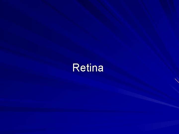 Retina 