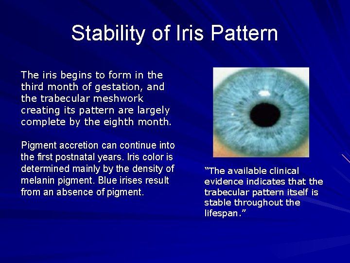 Stability of Iris Pattern The iris begins to form in the third month of