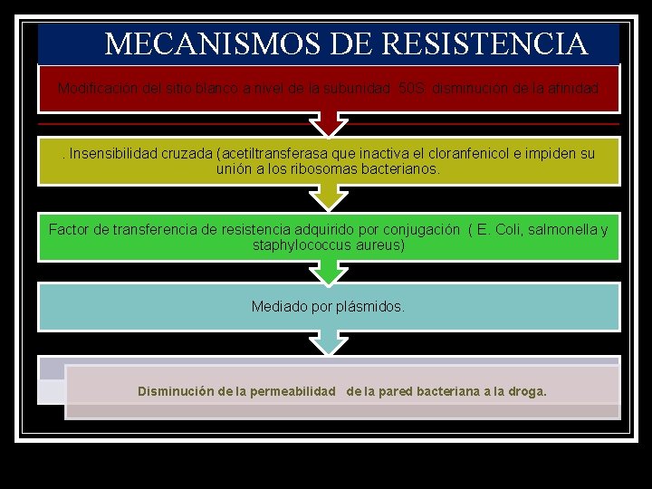 MECANISMOS DE RESISTENCIA Modificación del sitio blanco a nivel de la subunidad 50 S: