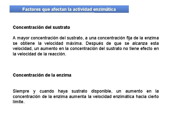 Factores que afectan la actividad enzimática Concentración del sustrato A mayor concentración del sustrato,