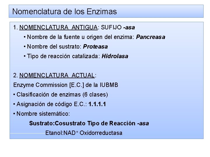 Nomenclatura de los Enzimas 1. NOMENCLATURA ANTIGUA: SUFIJO -asa • Nombre de la fuente