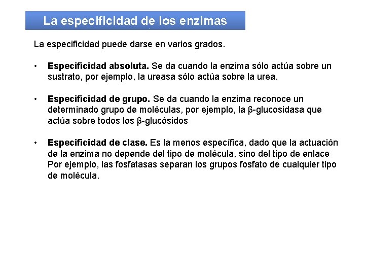 La especificidad de los enzimas La especificidad puede darse en varios grados. • Especificidad