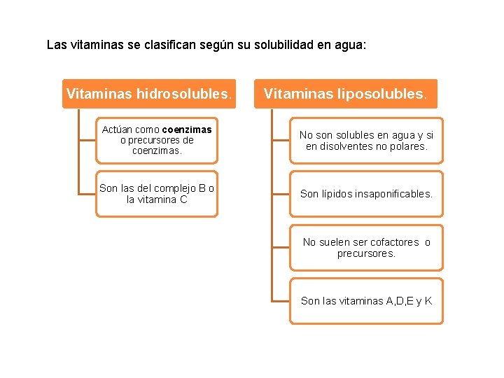 Las vitaminas se clasifican según su solubilidad en agua: Vitaminas hidrosolubles. Vitaminas liposolubles. Actúan