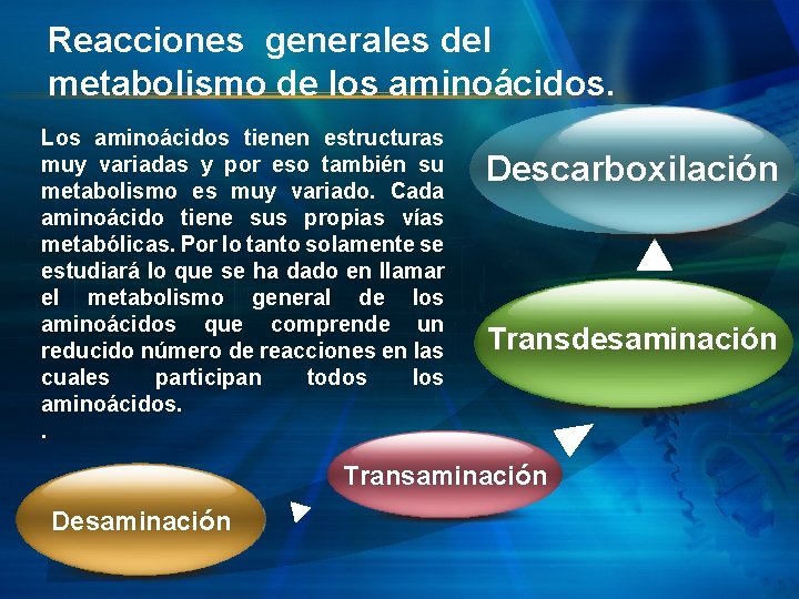 Reacciones generales del metabolismo de los aminoácidos. Los aminoácidos tienen estructuras muy variadas y