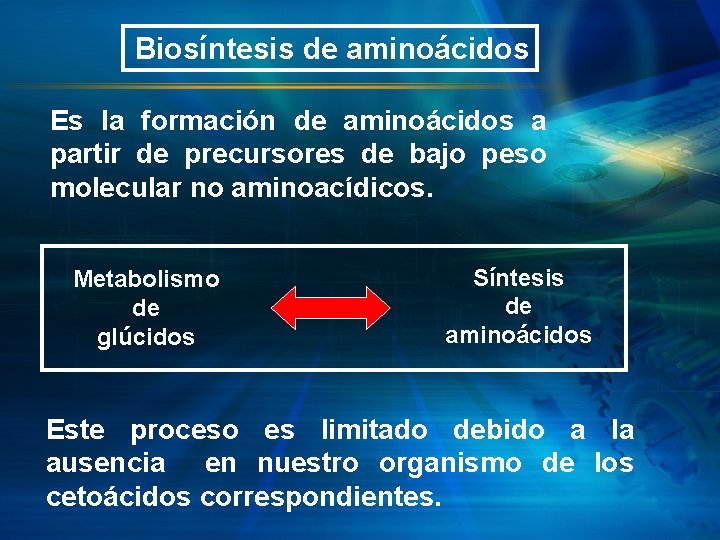 Biosíntesis de aminoácidos Es la formación de aminoácidos a partir de precursores de bajo
