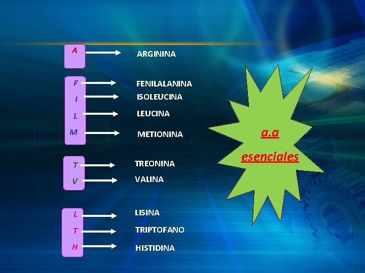 A ARGININA F I FENILALANINA ISOLEUCINA L LEUCINA M METIONINA T TREONINA V VALINA