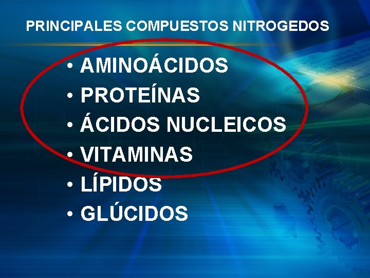PRINCIPALES COMPUESTOS NITROGEDOS • • • AMINOÁCIDOS PROTEÍNAS ÁCIDOS NUCLEICOS VITAMINAS LÍPIDOS GLÚCIDOS 