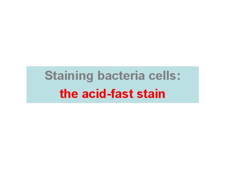 Staining bacteria cells: the acid-fast stain  Staining bacteria cells: the acid-fast stain