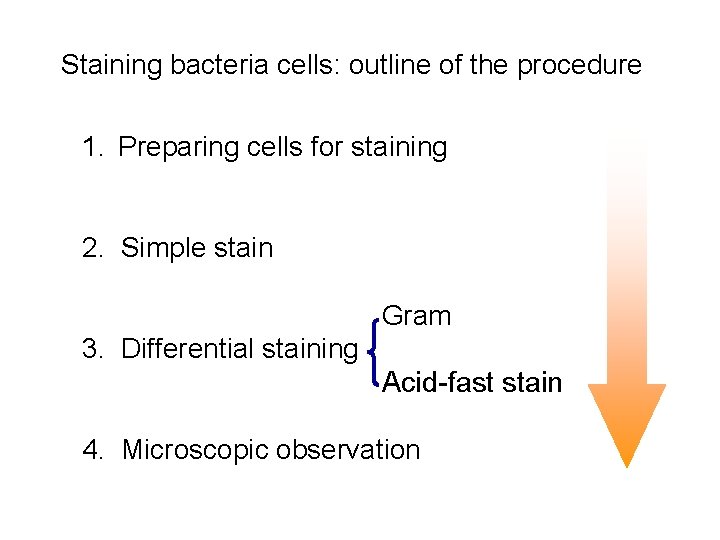 Staining bacteria cells: outline of the procedure 1. Preparing cells for staining 2. Simple Staining bacteria cells: outline of the procedure 1. Preparing cells for staining 2. Simple