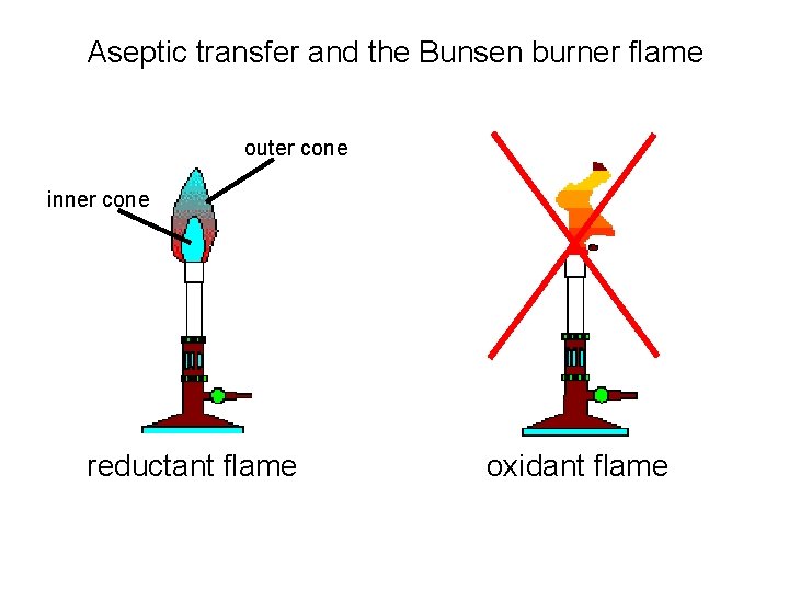 Aseptic transfer and the Bunsen burner flame outer cone inner cone reductant flame oxidant Aseptic transfer and the Bunsen burner flame outer cone inner cone reductant flame oxidant