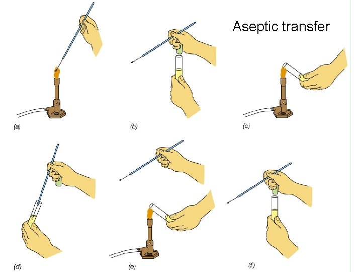 Aseptic transfer  Aseptic transfer