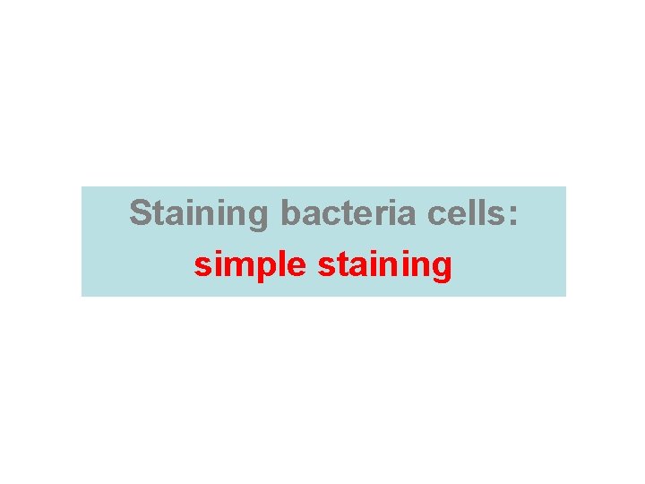 Staining bacteria cells: simple staining  Staining bacteria cells: simple staining