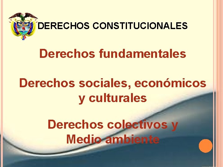 DERECHOS CONSTITUCIONALES Derechos fundamentales Derechos sociales, económicos y culturales Derechos colectivos y Medio ambiente