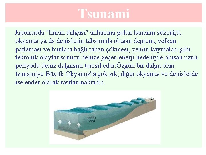 Tsunami Japonca'da "liman dalgası" anlamına gelen tsunami sözcüğü, okyanus ya da denizlerin tabanında oluşan