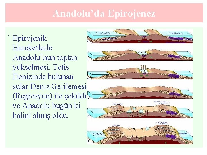 Anadolu’da Epirojenez. Epirojenik Hareketlerle Anadolu’nun toptan yükselmesi. Tetis Denizinde bulunan sular Deniz Gerilemesi (Regresyon)