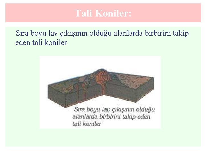 Tali Koniler: Sıra boyu lav çıkışının olduğu alanlarda birbirini takip eden tali koniler. 