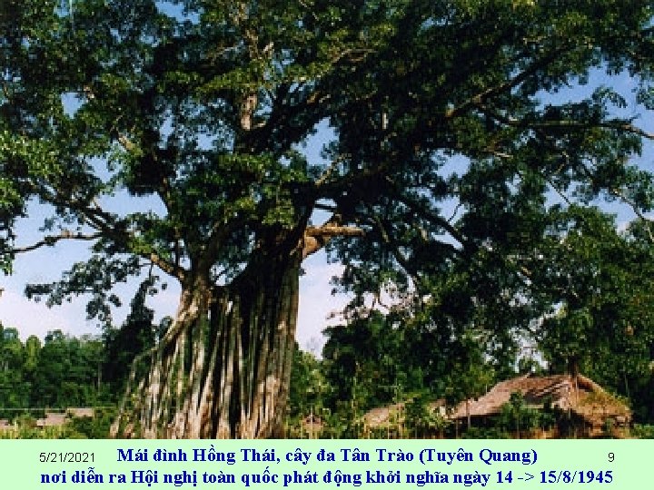 Mái đình Hồng Thái, cây đa Tân Trào (Tuyên Quang) 9 nơi diễn ra