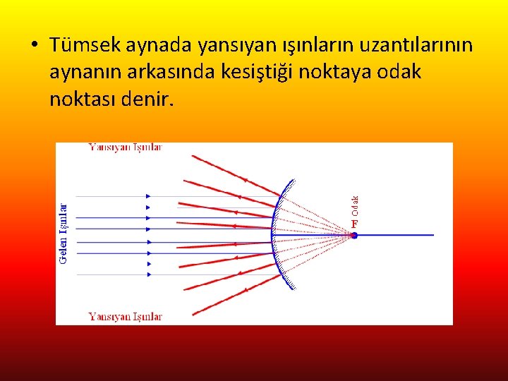  • Tümsek aynada yansıyan ışınların uzantılarının aynanın arkasında kesiştiği noktaya odak noktası denir.