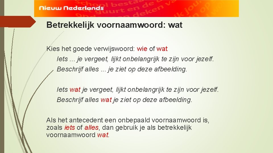 Betrekkelijk voornaamwoord: wat Kies het goede verwijswoord: wie of wat Iets. . . je