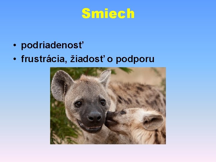 Smiech • podriadenosť • frustrácia, žiadosť o podporu 