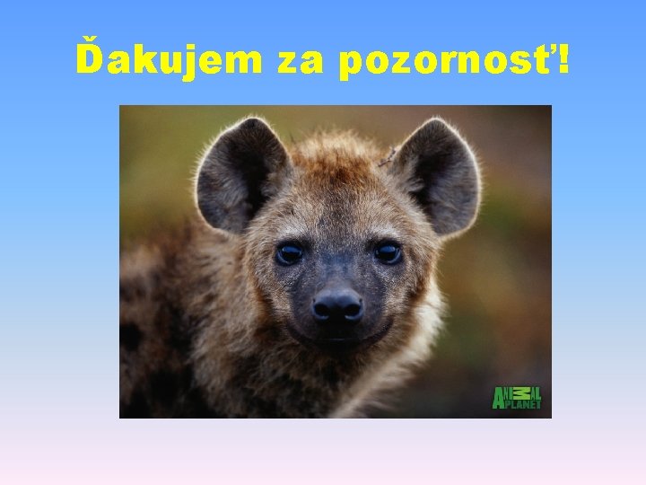 Ďakujem za pozornosť! 