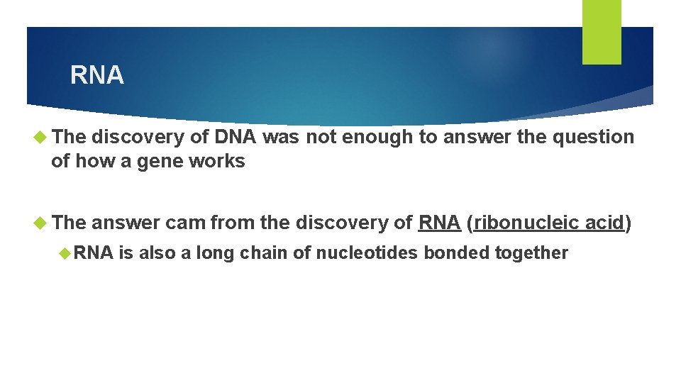 RNA The discovery of DNA was not enough to answer the question of how