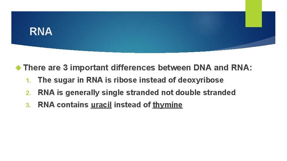 RNA There are 3 important differences between DNA and RNA: 1. The sugar in