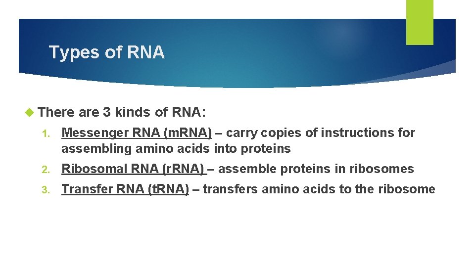 Types of RNA There are 3 kinds of RNA: 1. Messenger RNA (m. RNA)
