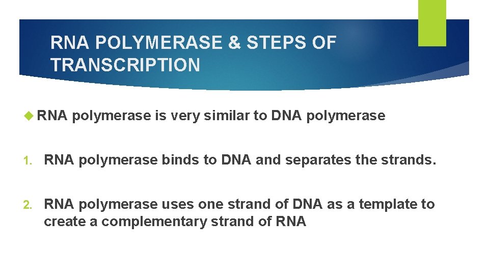 RNA POLYMERASE & STEPS OF TRANSCRIPTION RNA polymerase is very similar to DNA polymerase