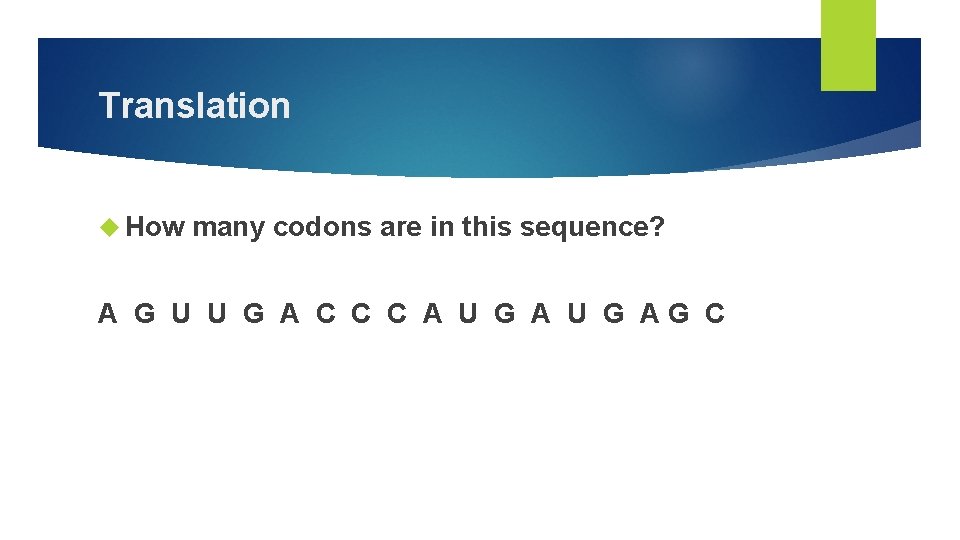 Translation How many codons are in this sequence? A G U U G A