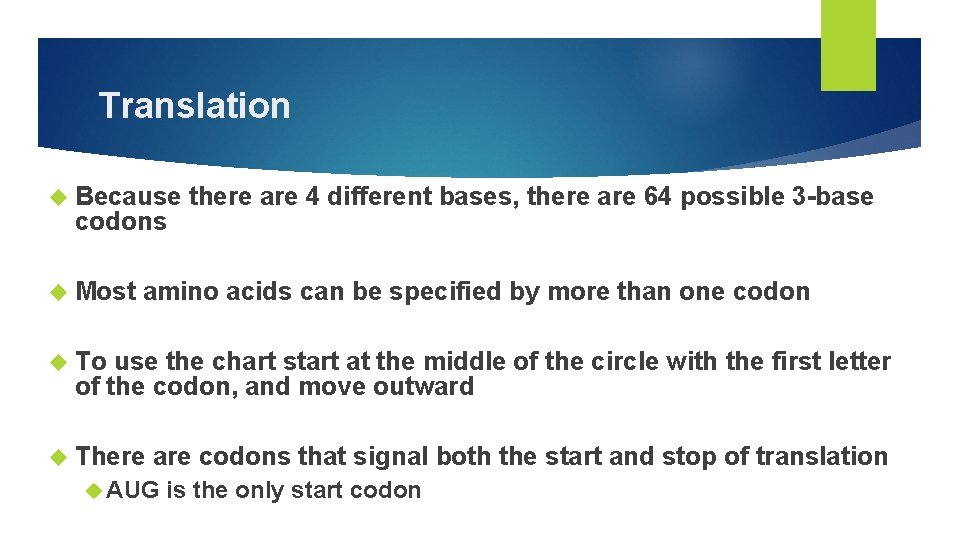 Translation Because codons Most there are 4 different bases, there are 64 possible 3