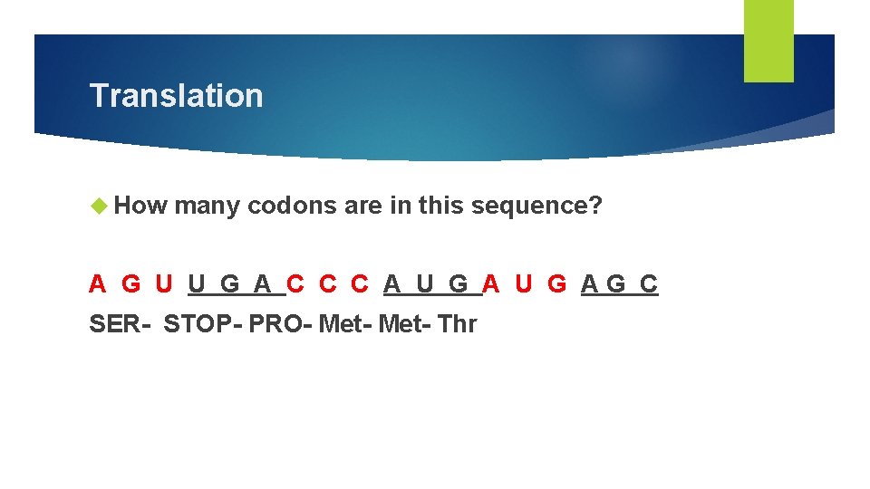 Translation How many codons are in this sequence? A G U U G A