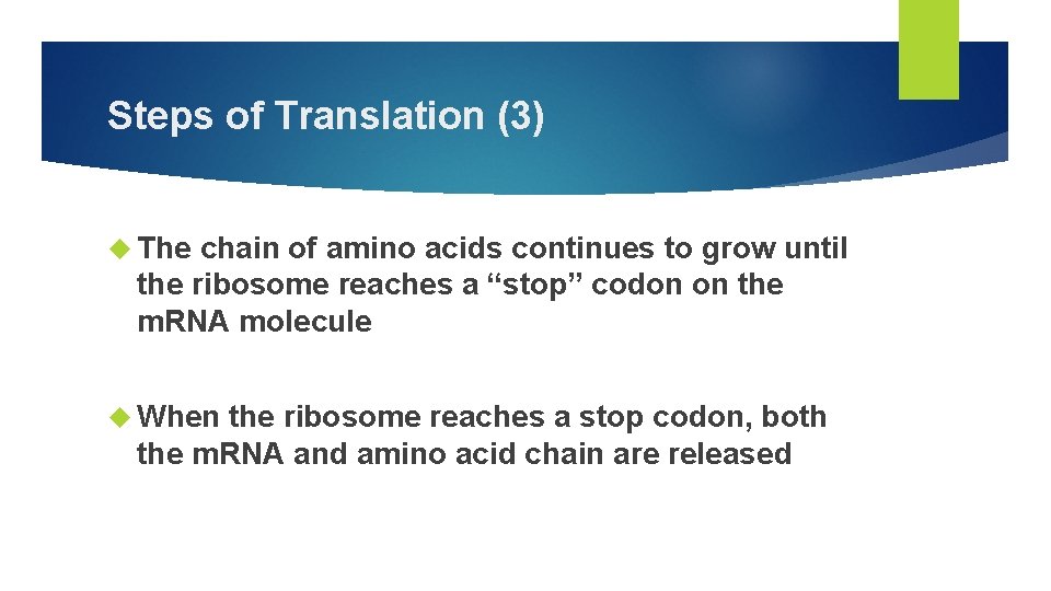 Steps of Translation (3) The chain of amino acids continues to grow until the