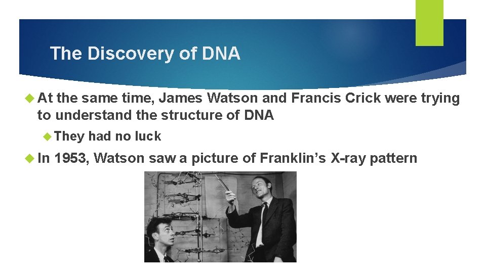 The Discovery of DNA At the same time, James Watson and Francis Crick were